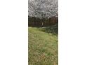 Spacious backyard with a grassy lawn and mature shade tree at 116 Ventura Trl, Stockbridge, GA 30281