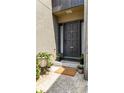 Stylish front door with sidelights, accented by potted plants and a welcome mat at 12 Ivy Ne Rdg, Atlanta, GA 30342