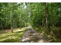 Long driveway leading to a house through a lush, green forest at 7448 Berea Road, Winston, GA 30187