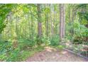 The wooded lot is overgrown with lush foliage and surrounded by mature trees at 356 Waterway Trl, Powder Springs, GA 30127