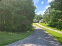 Long driveway leading to a home surrounded by lush green trees, offering privacy and a scenic approach at 3939 Craggy Perch, Douglasville, GA 30135