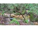 A creek running through the wooded backyard, complemented by a tranquil bench at 7460 Highway 101, Rockmart, GA 30153