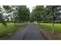 Long, tree-lined driveway leading to a secluded property, offering privacy at 500 Coleman Mill Rd, Carrollton, GA 30116
