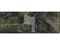 Aerial view of property lines and surrounding areas, showcasing the expansive lot and its placement at 75 Price Dr, Locust Grove, GA 30248