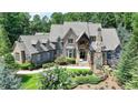 Beautiful two-story home featuring a stone facade, dormer windows, and professionally landscaped front yard at 829 Big Horn Holw, Suwanee, GA 30024