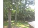 Green backyard features mature trees and natural light at 439 River Rd, Jonesboro, GA 30236