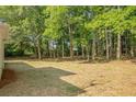 Large, private backyard with mature trees, offering ample space for outdoor activities and relaxation at 1834 Stroud Road, Mcdonough, GA 30252