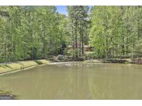 Scenic view of a tranquil pond surrounded by lush trees, showcasing the property's natural beauty at 337 Andrew Bailey Rd, Sharpsburg, GA 30277