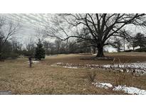 Spacious lot with mature trees and open space at 1597 Highway 92 S, Fayetteville, GA 30215