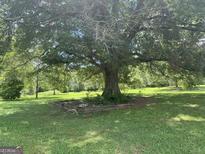 Scenic yard with a majestic, mature tree, perfect for relaxing outdoors and enjoying the natural surroundings at 1597 Highway 92 S, Fayetteville, GA 30215