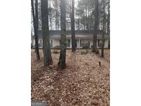 Ranch style home with dormer windows surrounded by mature trees and a wooded landscape at 1276 Turner Church Rd, Mcdonough, GA 30252