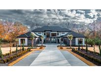 Stunning modern home featuring a contemporary design with a long driveway and beautiful landscaping at 740 Bethpage Dr, Mcdonough, GA 30253