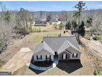 An aerial view of a single story home featuring a mature treed lot and a traditional design at 321 Harris Ave, Locust Grove, GA 30248