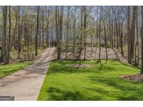 View of long driveway leading up to charming home surrounded by beautiful trees and green grass at 65 Dundee Pl, Sharpsburg, GA 30277