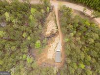 Scenic aerial view of a rural property with trees, a long driveway and a charming house at 133 Springer Rd, Whitesburg, GA 30185