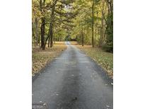 Long driveway through a canopy of trees leading to the property at 671 Ellison Rd, Tyrone, GA 30290