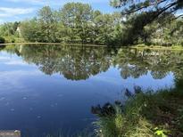 Picture of the still pond, reflecting the trees on its bank at 3136 Camp Branch Rd, Buford, GA 30519