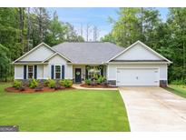 Charming single-story home with a well-manicured lawn and a two-car garage nestled amongst mature trees at 344 Dylan Way, Mcdonough, GA 30252