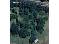 Expansive aerial view of wooded property with mature trees, offering privacy and natural beauty on Oglesby Bridge Rd SE at 225 Oglesby Bridge Rd Se, Conyers, GA 30094