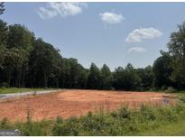 Cleared homesite offering a beautiful and serene landscape with an expanse of trees in the background at 380 Ayers Rd, Bowdon, GA 30108