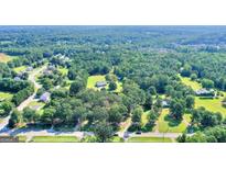 Expansive aerial view of homes nestled among lush greenery and mature trees at 1042 Harbins Rd, Dacula, GA 30019