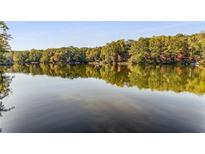 Scenic lake view surrounded by lush trees and calming water reflecting the sky at 8316 Hewlett Rd, Sandy Springs, GA 30350