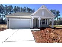 Charming one-story home with a modern farmhouse design, attached garage, and new concrete driveway at 106 Cherry Glen Way, Euharlee, GA 30145