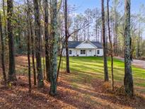 White house with a gray roof, surrounded by tall trees and a grassy yard at 410 N Carroll N St, Bowdon, GA 30108