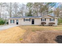Charming ranch-style home with a well-maintained lawn and inviting curb appeal at 8673 Chestnut Ln, Lithia Springs, GA 30122