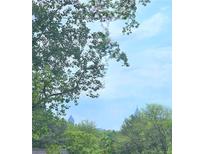 A glimpse of the city skyline is visible through a natural frame of trees at 1413 Lanier Ne Pl, Atlanta, GA 30306