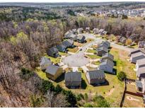 Scenic aerial view of homes nestled in a wooded community, perfect for nature lovers at 325 Nutwood Trce, Locust Grove, GA 30248