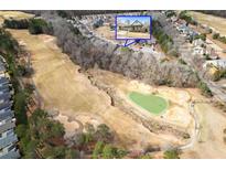Expansive aerial view of home overlooking lush golf course and wooded surroundings in a beautiful community at 250 High Court Way, Locust Grove, GA 30248