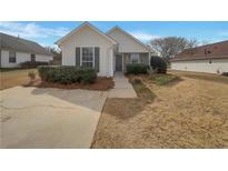 Charming single-story home featuring classic architectural details and a well-maintained front yard at 207 Autumn Lake Way, Mcdonough, GA 30253