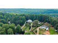 Expansive aerial view of multiple homes surrounded by lush greenery and mature trees at 210 Wrights Mill Way, Canton, GA 30115