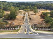 An aerial view of a tree-lined entrance to the neighborhood at 4415 Natchez Ln, Cumming, GA 30040