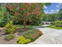 Landscaped front yard featuring a flowering tree and well-maintained lawn, leading to a charming home at 750 Crest Valley Nw Dr, Sandy Springs, GA 30327