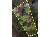 A vacant lot ideal for building a dream home in a wooded area, offering privacy and natural beauty at 1780 Williams Cir, Cumming, GA 30041