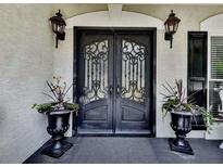 Elegant double front doors with decorative ironwork flanked by sconces and planters at 1012 Jubilee Way, Powder Springs, GA 30127