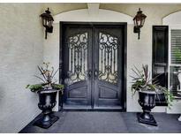 Elegant front door with iron detailing and decorative planters, enhancing curb appeal and creating a grand entrance at 1012 Jubilee Way, Powder Springs, GA 30127
