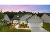 Beautiful single-Gathering home with a manicured lawn, and a two car garage at 1619 Tielman Way, Snellville, GA 30078