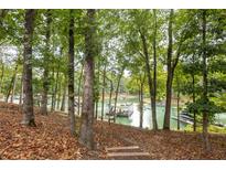 Scenic lake view through the trees, showcasing the tranquil waterfront setting and docks at 6029 Shadburn Ferry Rd, Buford, GA 30518