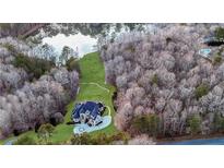 Stunning aerial view showcases the estate home, lush lawns, mature trees and tranquil lake at 4233 Sandstone Shores Dr, Stonecrest, GA 30038