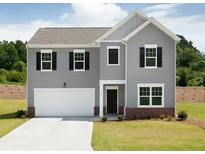 Charming two-story home with gray siding, black shutters, and a well-manicured lawn in a suburban setting at 45 Champions Blvd, Dallas, GA 30157