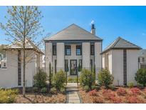 Stunning exterior of a modern home with manicured landscaping, walkway, and beautiful architectural details at 260 Guild Ln, Fayetteville, GA 30214