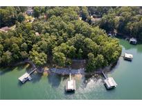 Picturesque aerial view of a lakefront property with docks surrounded by lush greenery at 6160 Lake Lanier Heights Rd, Buford, GA 30518