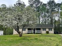 Charming single-story home featuring a welcoming front porch and a beautifully landscaped front yard with a mature flowering tree at 258 Cristy Dr, Dallas, GA 30157