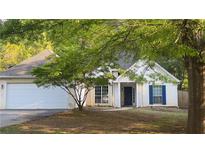 Charming one-story home featuring a classic design, attached garage, and neatly maintained front yard at 209 Southerness Ct, Stockbridge, GA 30281