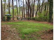 Spacious backyard featuring a well-maintained lawn, surrounded by mature trees and a chain link fence at 350 New Jersey Nw Ave, Atlanta, GA 30314