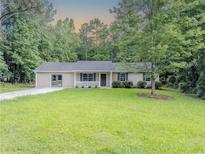Charming ranch home with a well-maintained lawn and beautiful curb appeal at 175 Stoneview Cir, Covington, GA 30016