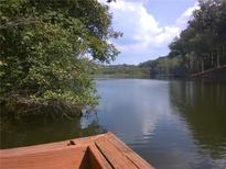 Picturesque lake view showcasing the serene water and lush greenery from the shore at 8145 Stone Hill Rd, Cumming, GA 30028